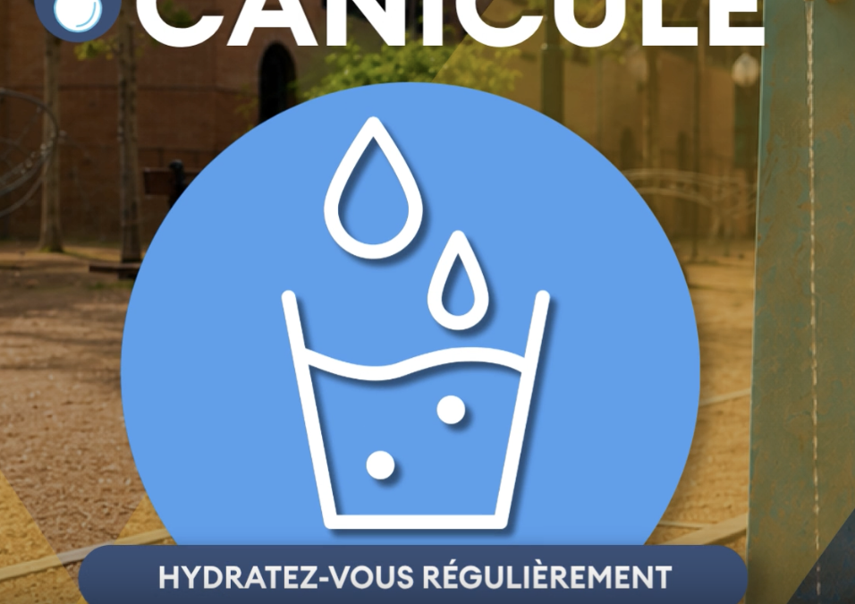 🌡️ Avec les fortes chaleurs